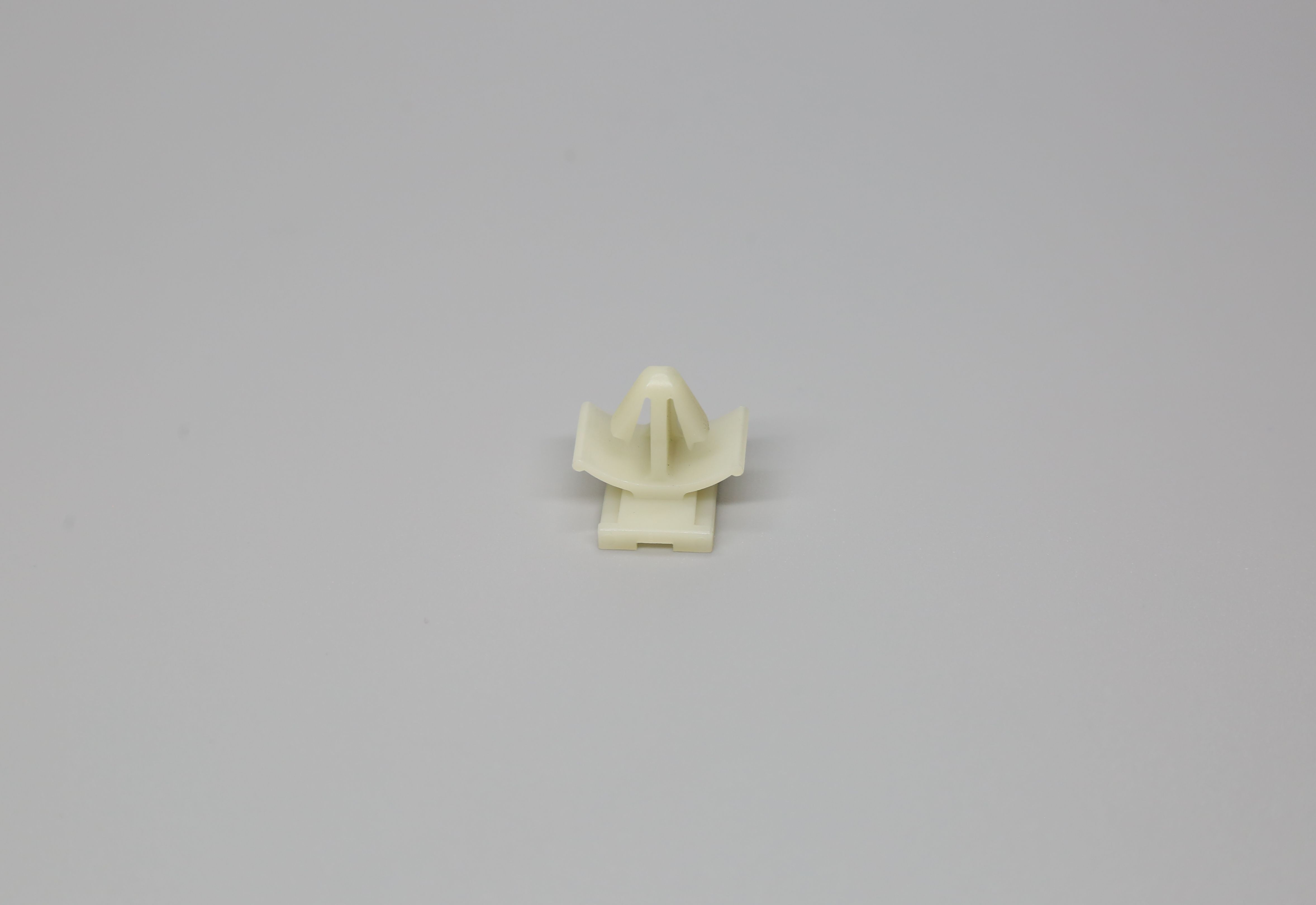 MG631929